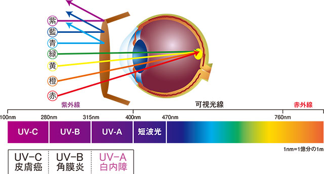 医療用フィルターレンズ概要  中高年特有のまぶしさ、眼疾患に。